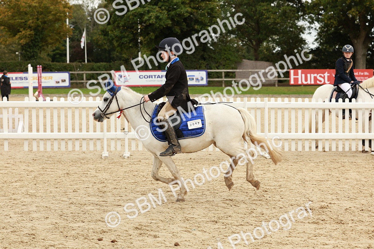 SBM_65379 - Supreme Championship 50cm & 55cm