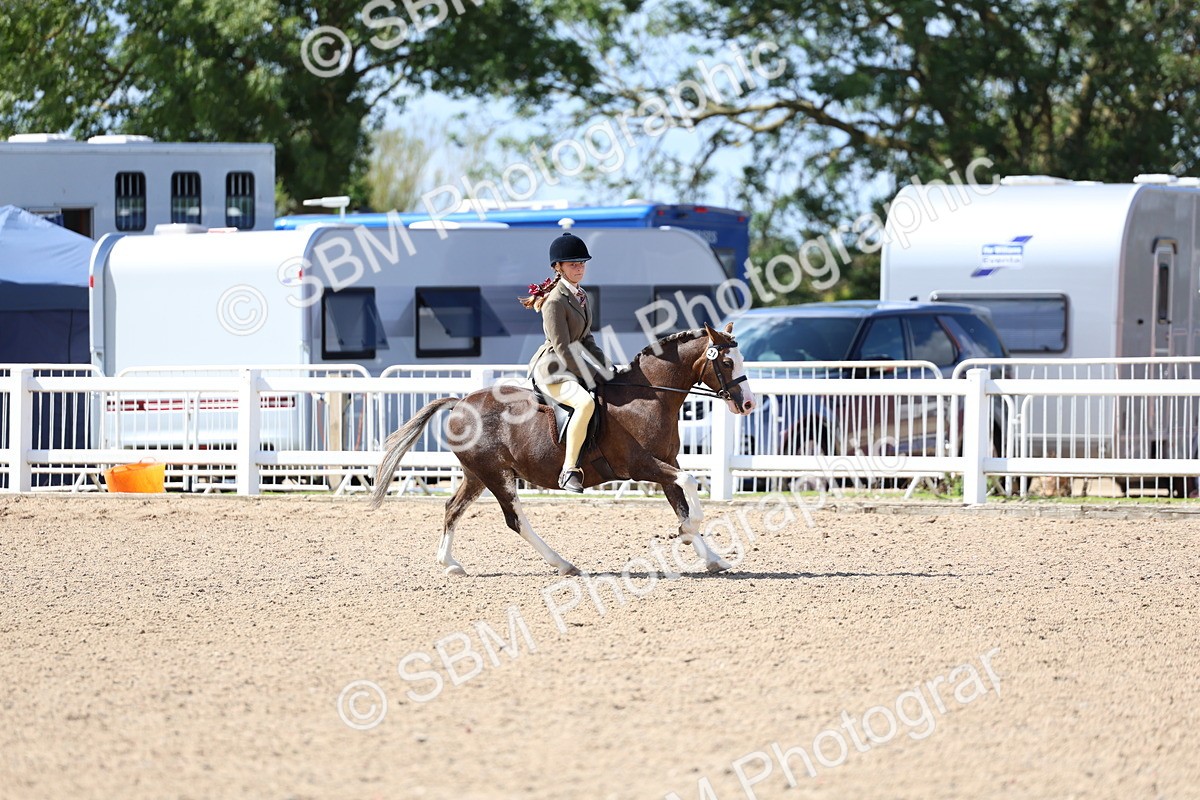 SBM_13336 - Class 311 - Ridden Show Pony Show Hunter Pony