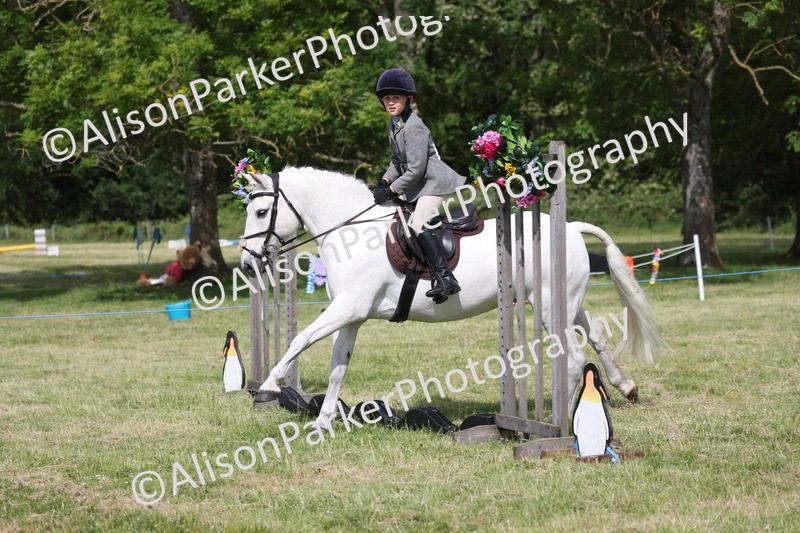 20260614-0547 - Class 20 - Beginners Working Hunter Pony