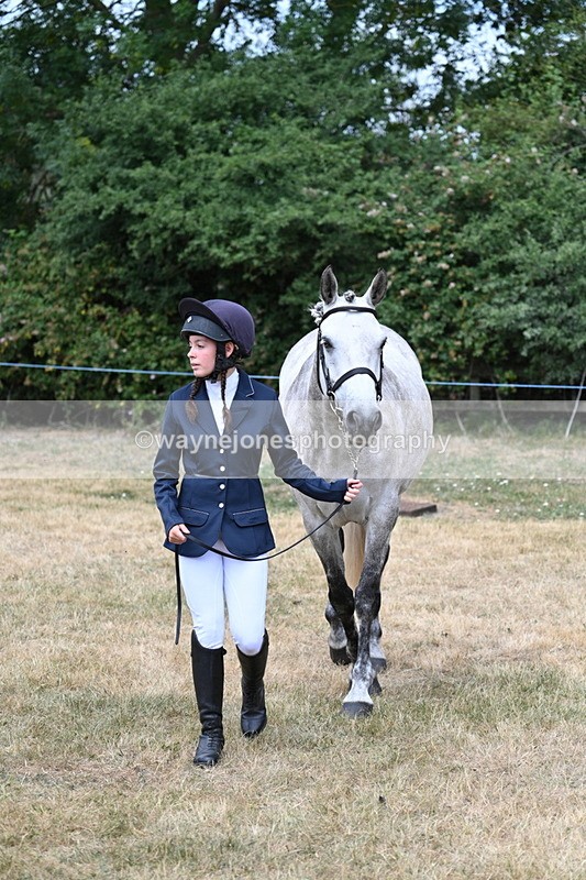 WJ7_1857 - Class 4a Prettiest Mare 14.2hh and over hand