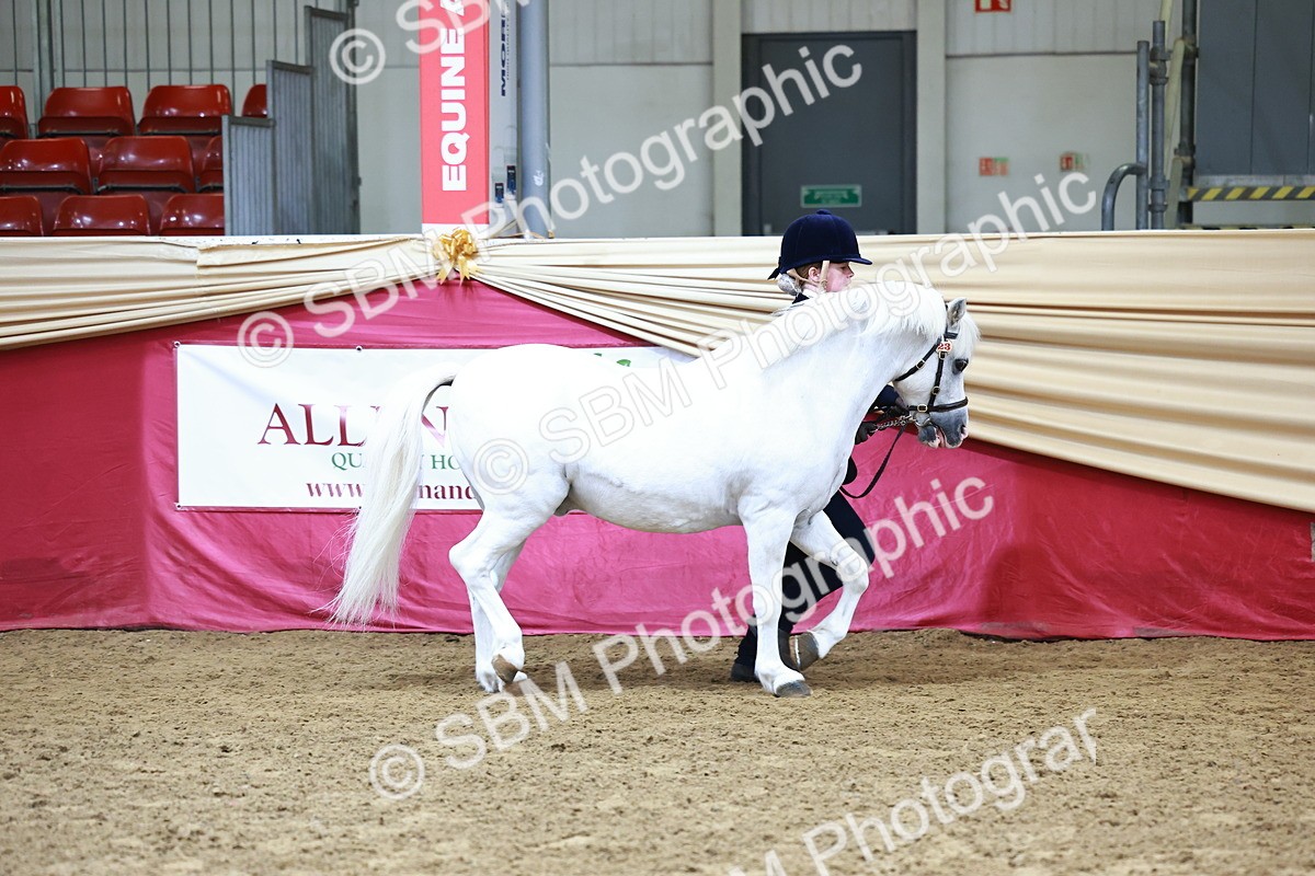 SBM_22246 - Class 902 - Supreme Final - IH Diamond