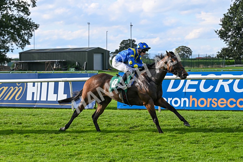 140926-Race 5-Mo Anam Chara-7532 - Race 5 4.21pm decronhorsecare.co.uk Handicap