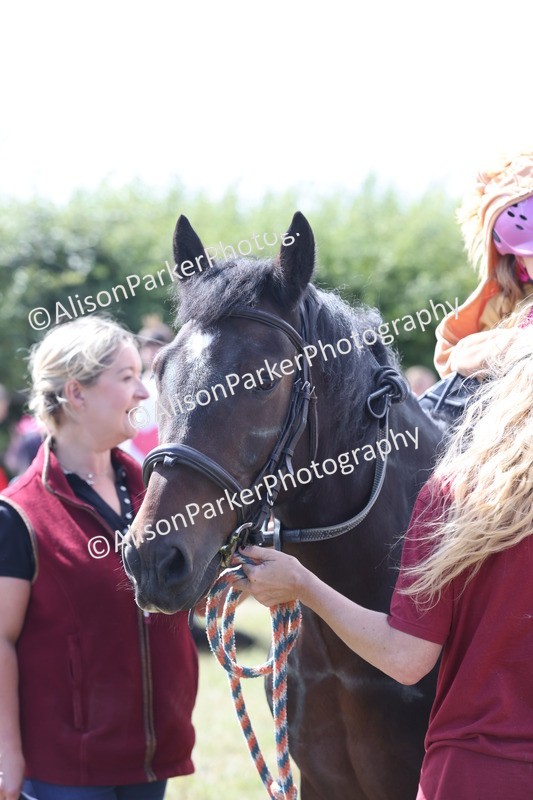 20250831-3488 - Class 26 - Fancy Dress