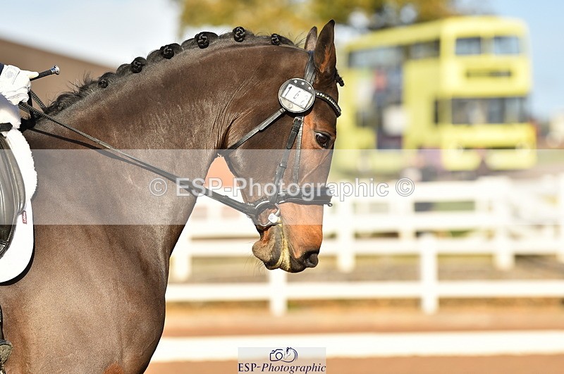 231104A-133846-01870 - Cls 10 Medium 61