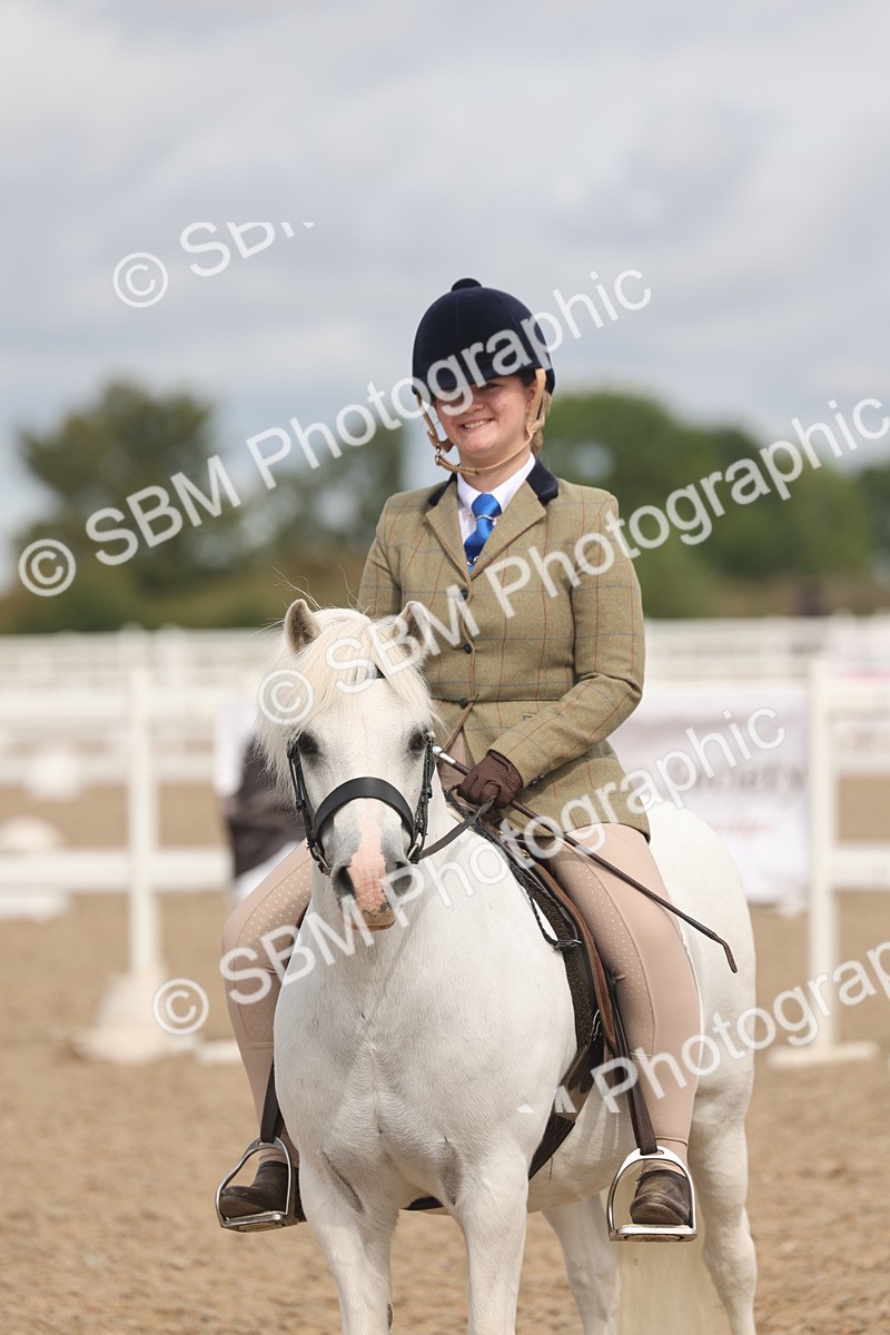 SBM_04538 - Class 19 - Horse/Pony Judge would most like to take home