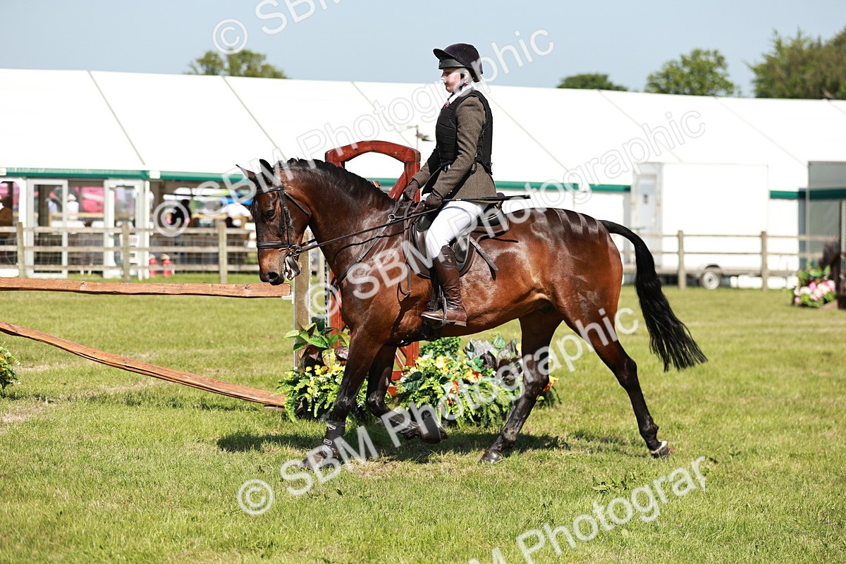 SBM_18412 - Class 112-113 - BSPS LIHS Working Sports Pony