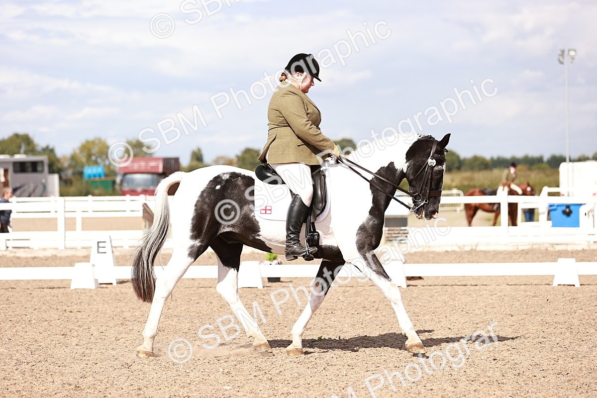 SBM_06590 - Class 39 - Medium 3