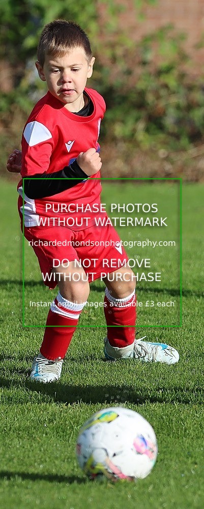 IMG_0389 - Ibis Under 7 vs Wattsfield Under 7 (28/9/24)