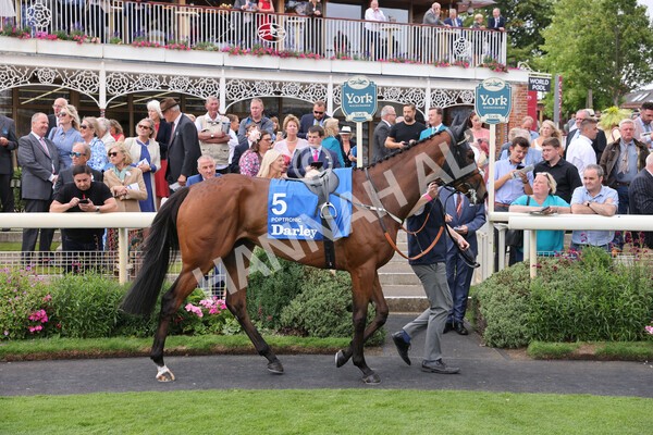 yr18082022r4-6 - Race 4 3.35pm Darley Yorkshire Oaks (British Champions Series Race)