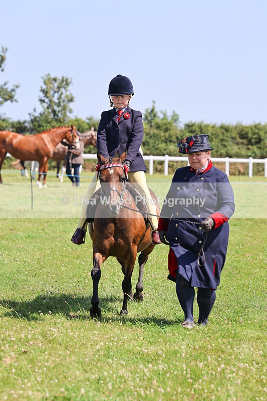 IMG_2172 - Class 36: Part Bred Ridden M & M