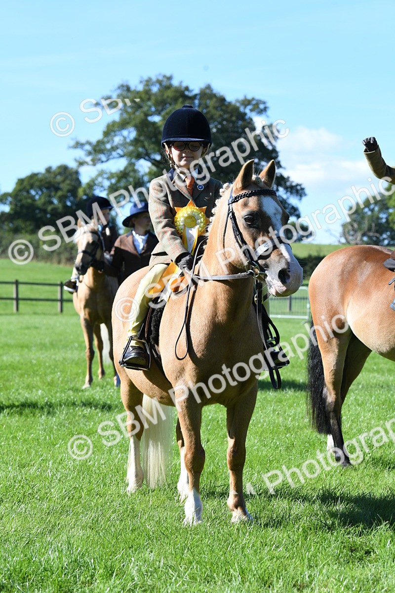 SBM_37050 - S18 - Novice & Newcomers Lead Rein Pony