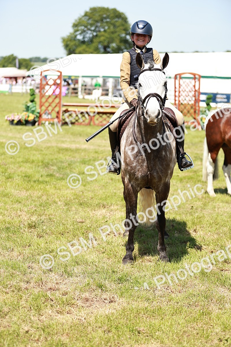 SBM_16417 - Class 110-111 - Training Stakes (70cms 80cms)