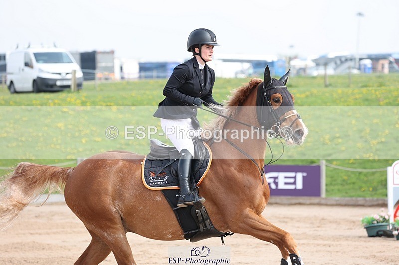 250424-110446-03383 - Cls 33 Young Horse 7yr old