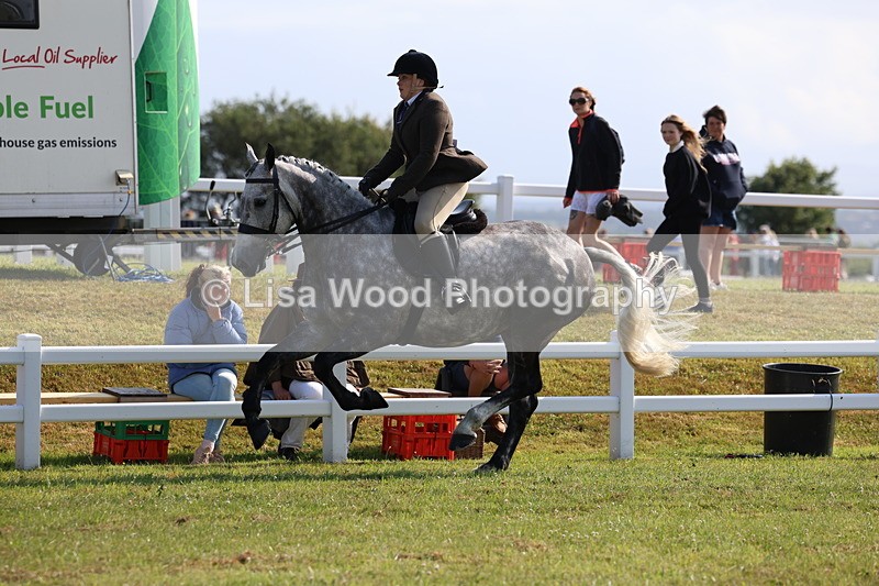 3E7A8641 - Class 3: Rising Star S/L Hunter