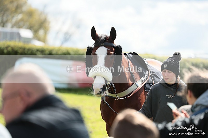 PtP 180426 379 - Worcestershire Hunt PtP Chaddesley Corbett 18/04/26