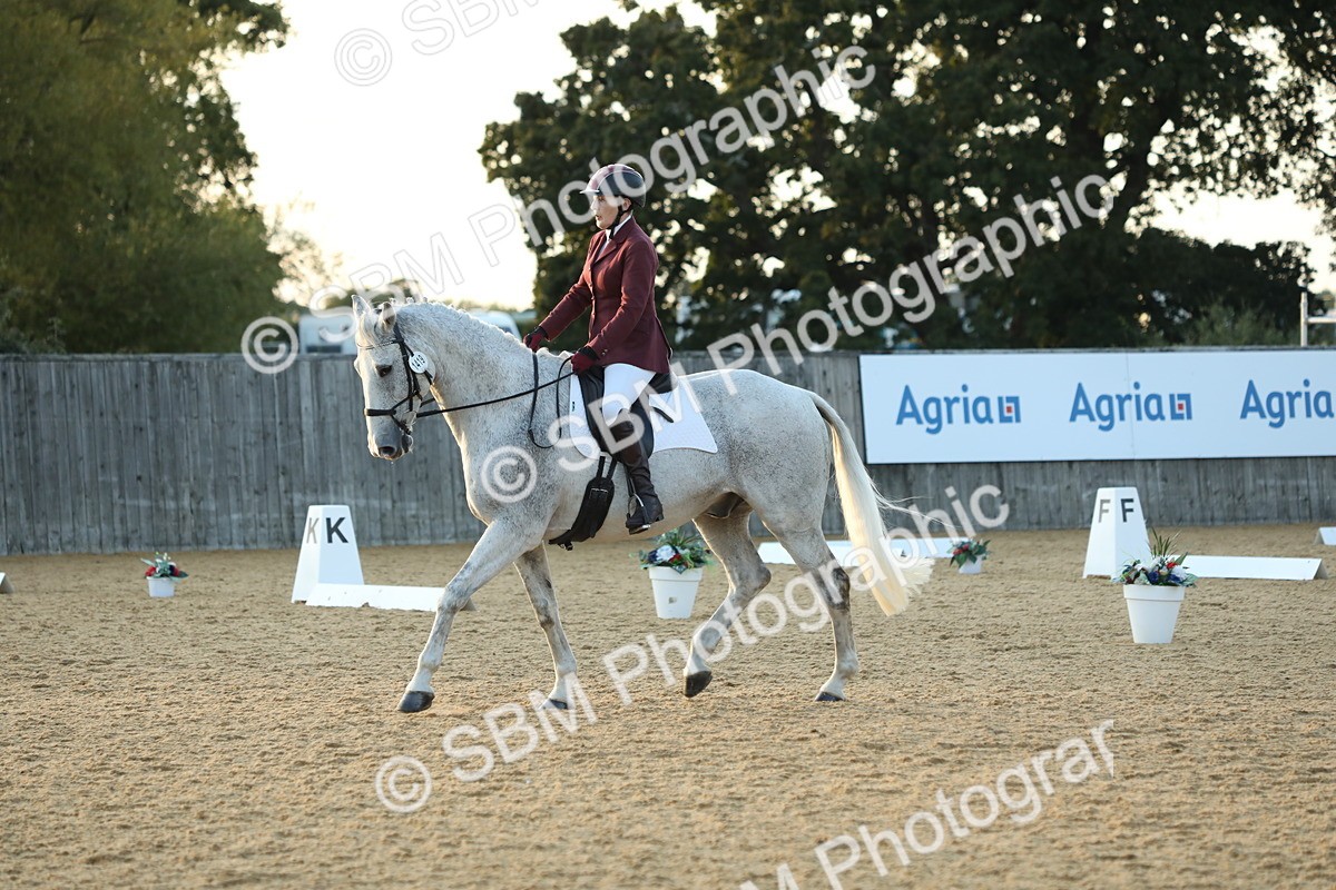 SBM_31172 - D20 - Grand Tour Championship - Elementary 44