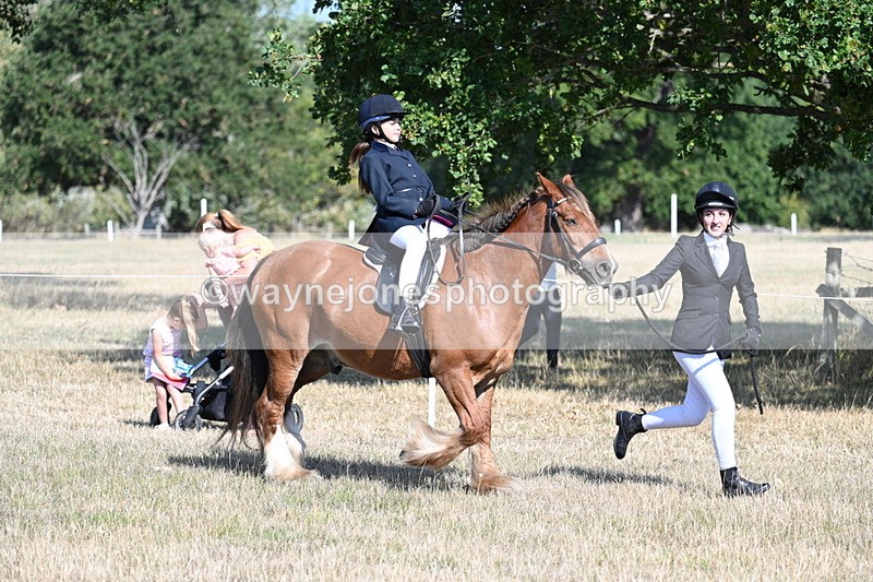 WJ7_2988 - Class 8 Ridden Tack & Turnout