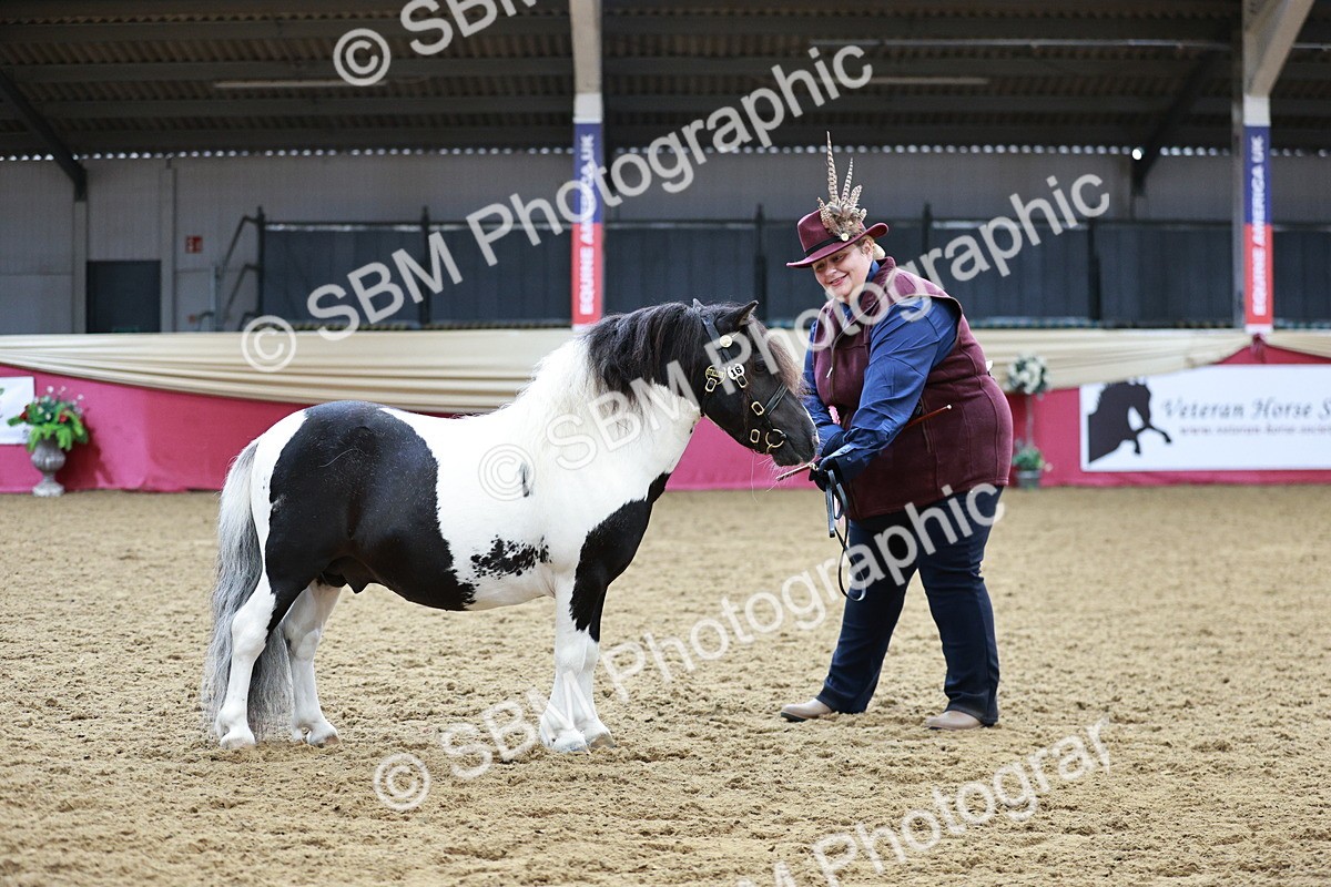 SBM_01361 - Class 3A - Area IH Pre-Vet