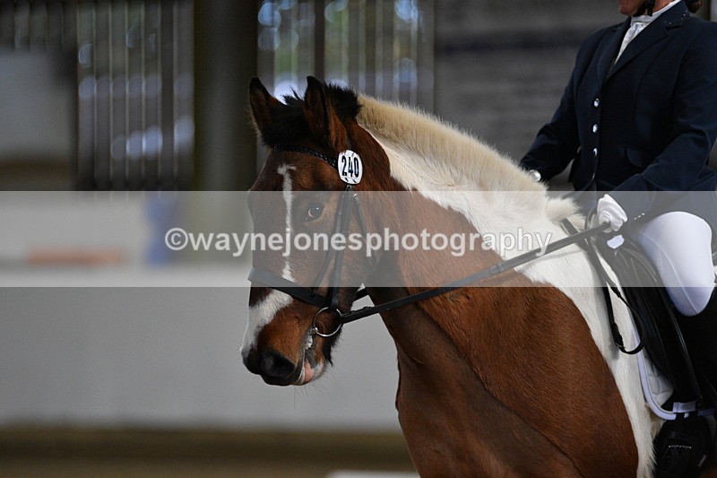 WJ5_7139 - Class 2 Intro Test 2