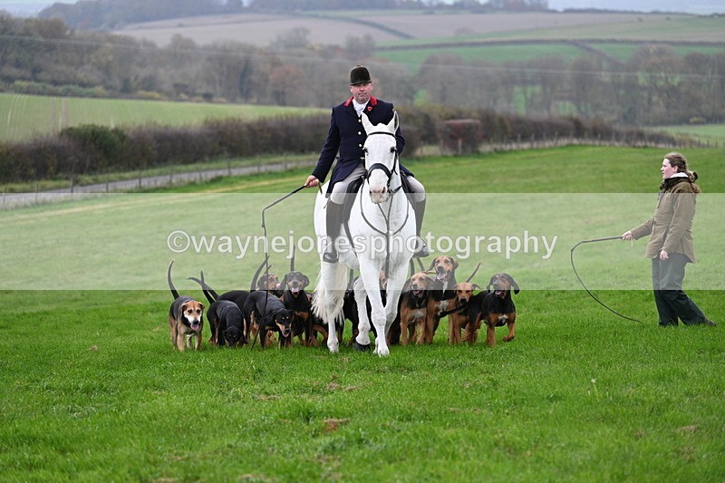 WJ7_8863 - Meet Staff & Hounds