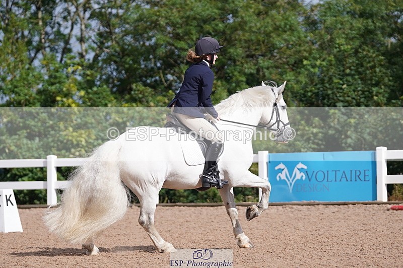 240809A-093340-00275 - Dressage Competition