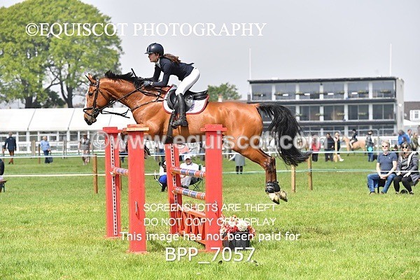 BPP_7057 - CLASS 3 RHS Fox Champ Qual (1.20m)
