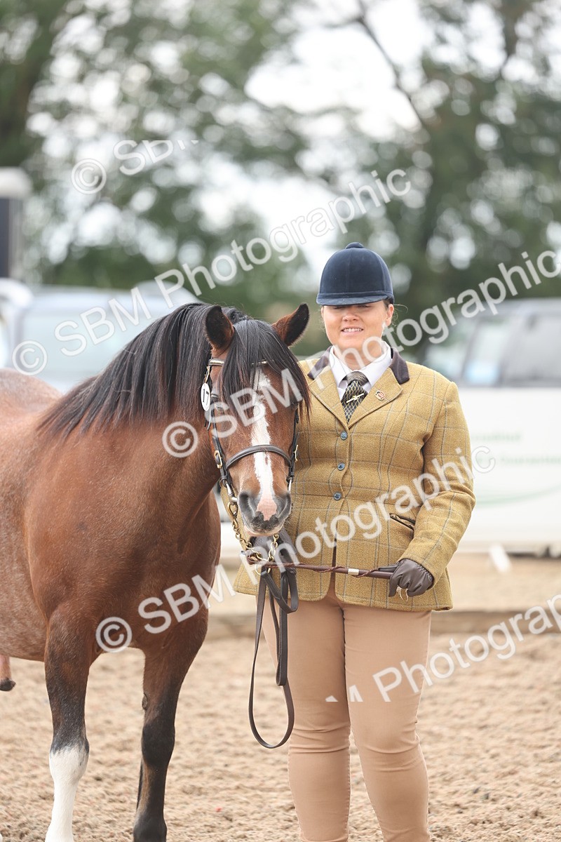 SBM_03237 - Class 16 - IH M&M Wildcard