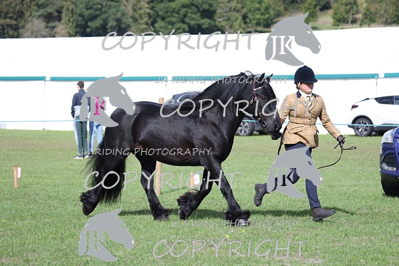 APP_2803 - Class 10a/b M&M in hand