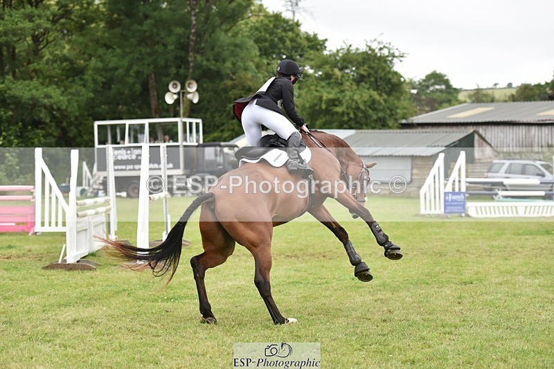 140103-030736-07603 - BE Novice SJ