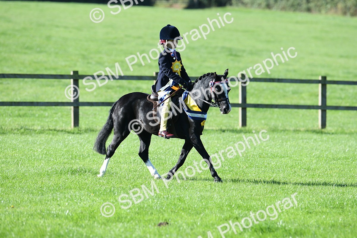 SBM_35612 - Top Turnout Supreme Championship