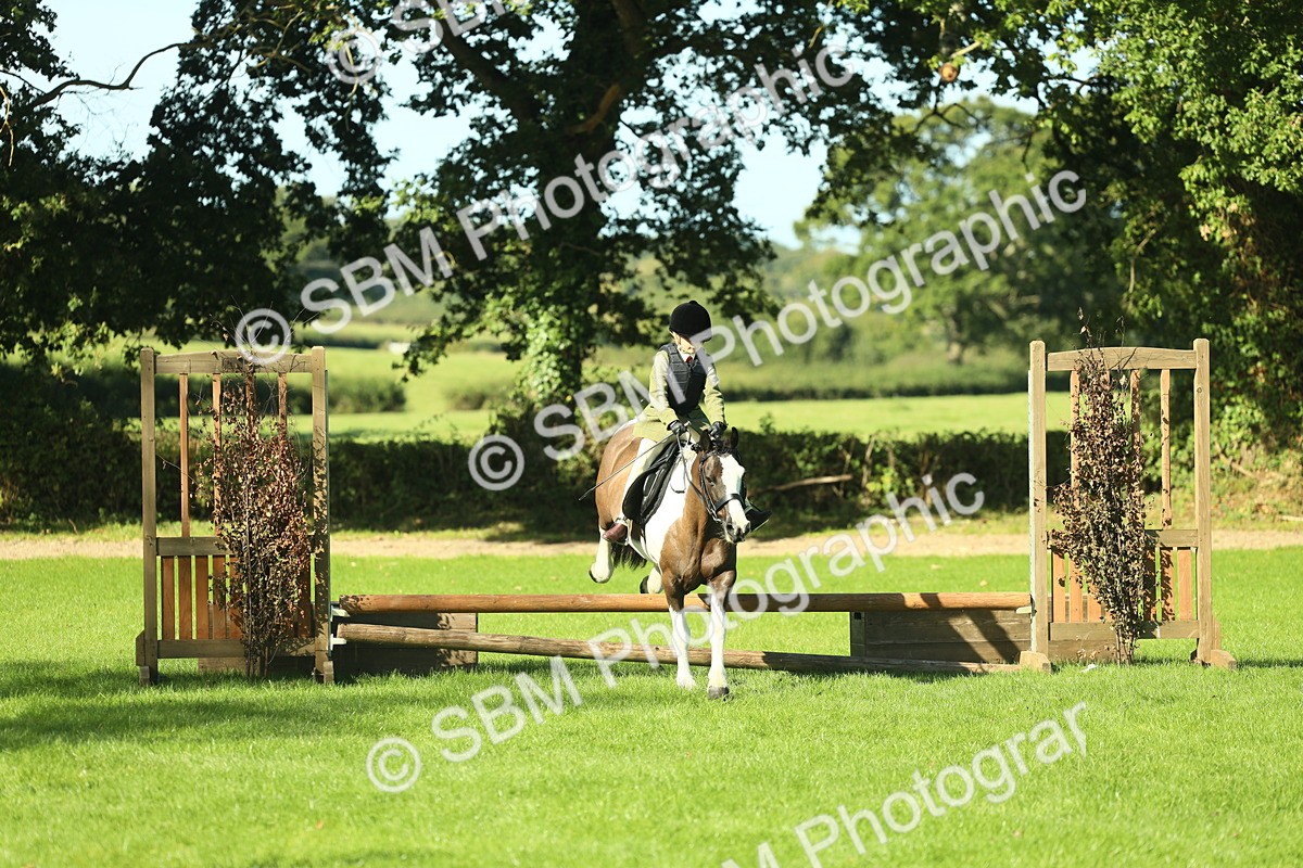 SBM_36525 - S29 - Novice & Newcomers Working Hunter Pony