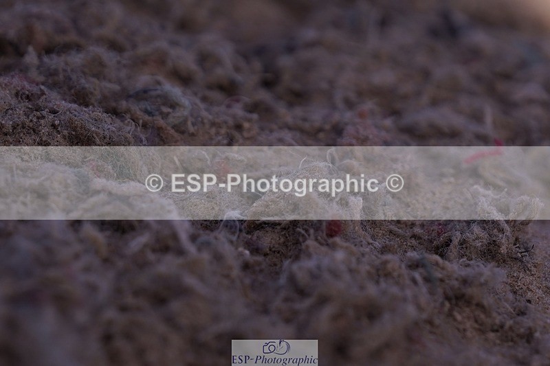 250629-183554-13937 - Cls 34 Springboard 128cm and 138cm