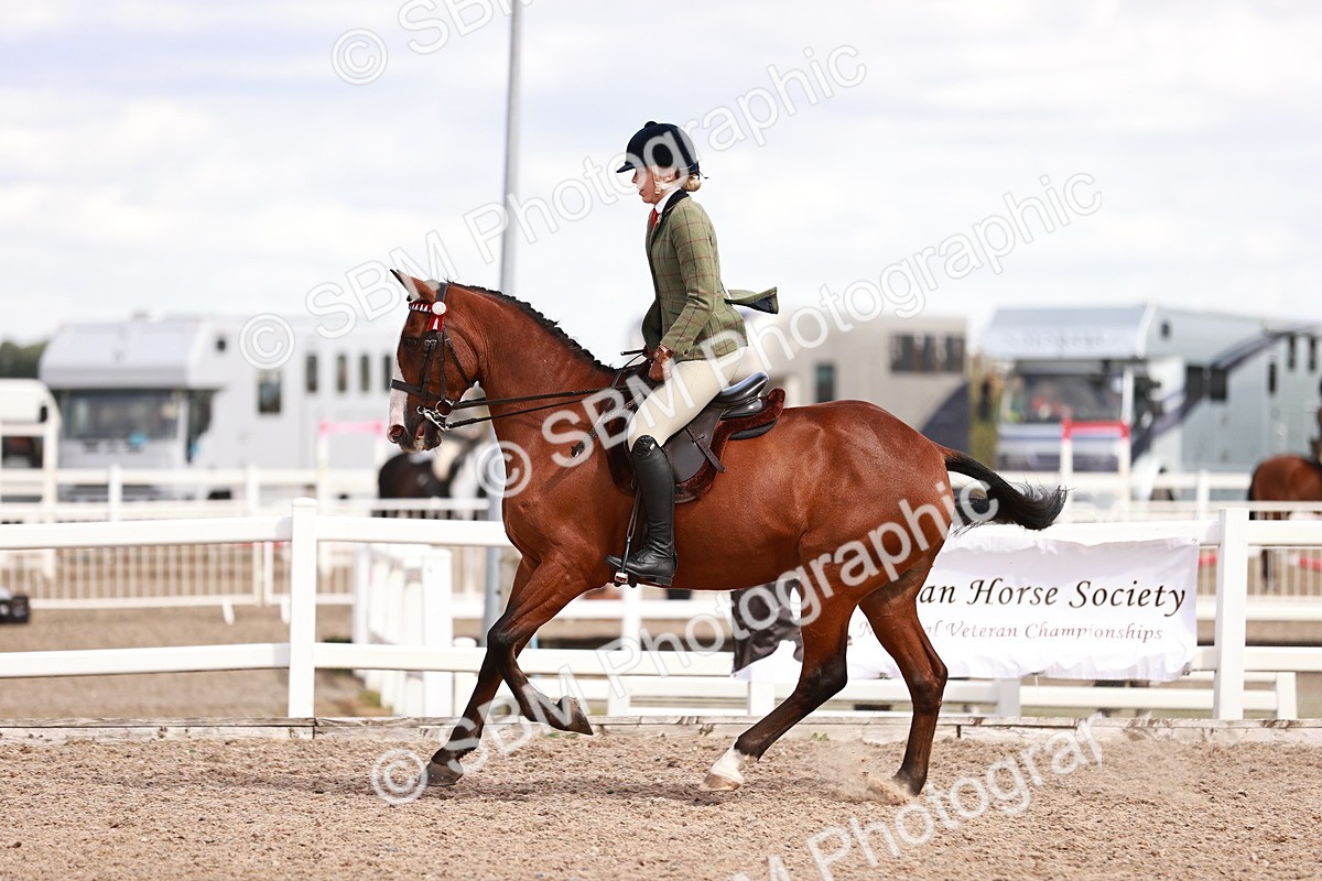 SBM_14469 - Class 410 - Grassroots Ridden - Horse