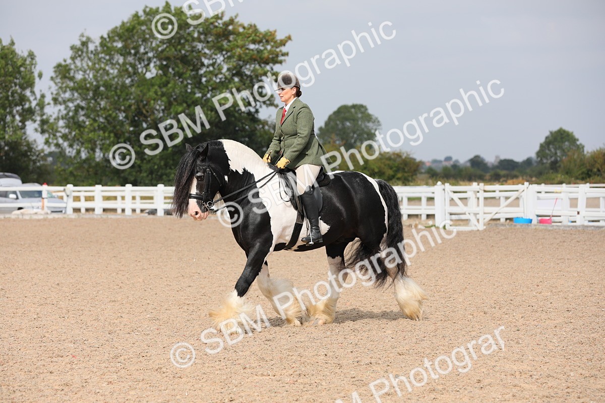 SBM_12812 - Class 307 Ridden Coloured Pony