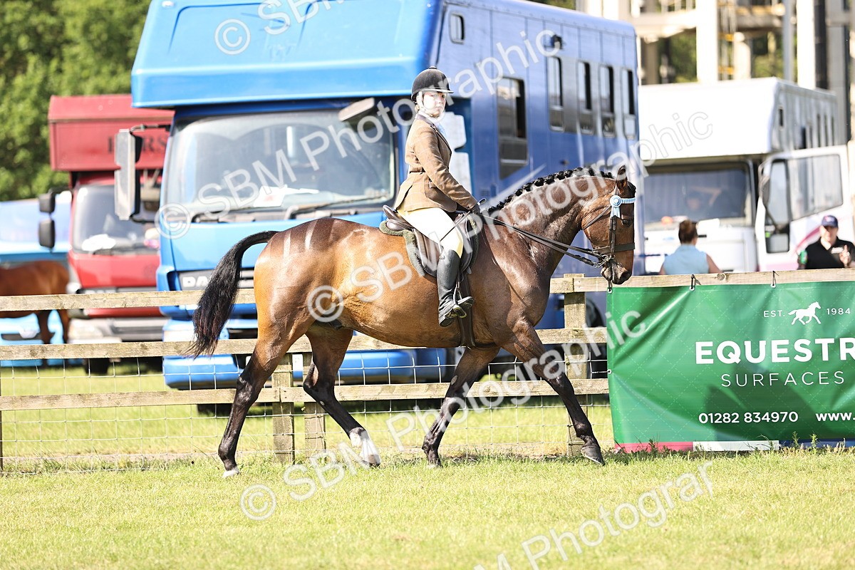 SBM_12879 - Class 75-76 LIHS BSHA Rising Star Hack Riding Horse