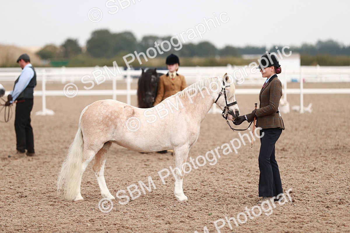 SBM_12514 - Class 207 IH M&M