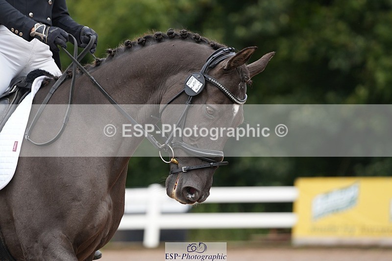 250907-113713-06125 - 093-Tia.RattyRolos.sweet.like.chocolate