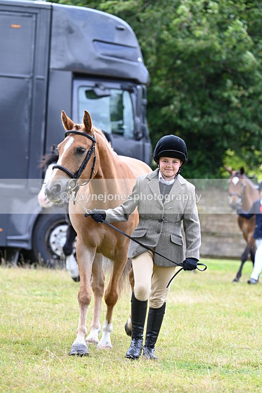 WJ7_6474 - Class 5 Handsome Gelding in hand