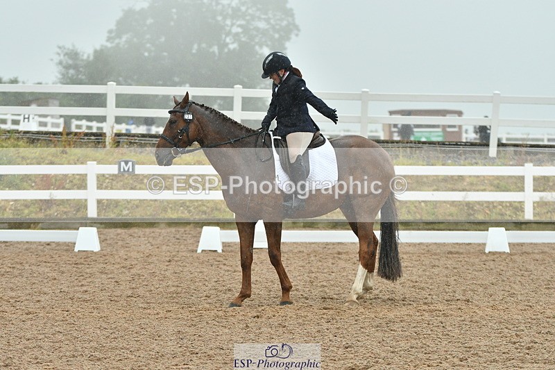 230708A-151117-03013 - Elementary 43