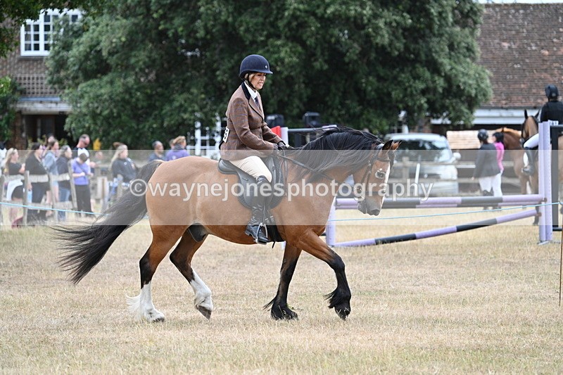 WJ7_0520 - Class 6 Ridden Mountain and Moorland