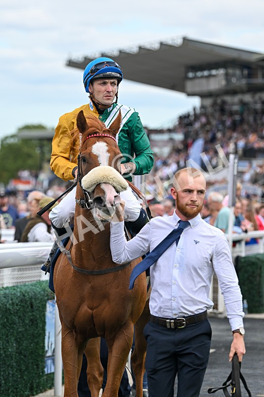 300825-Race 2-Shagraan-0754 - Race 2