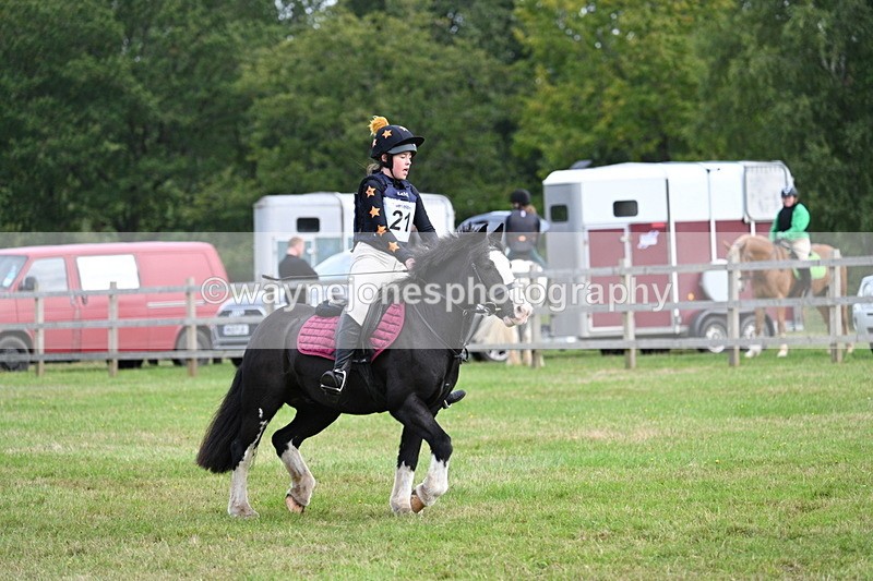 WJ7_8044 - 40cm Time 10:49 to 11:18