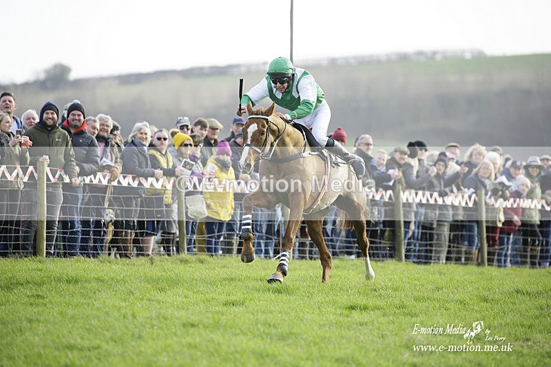 PtP 300122 398 - South Dorset Hunt - Point-to-Point Races 30/01/2022