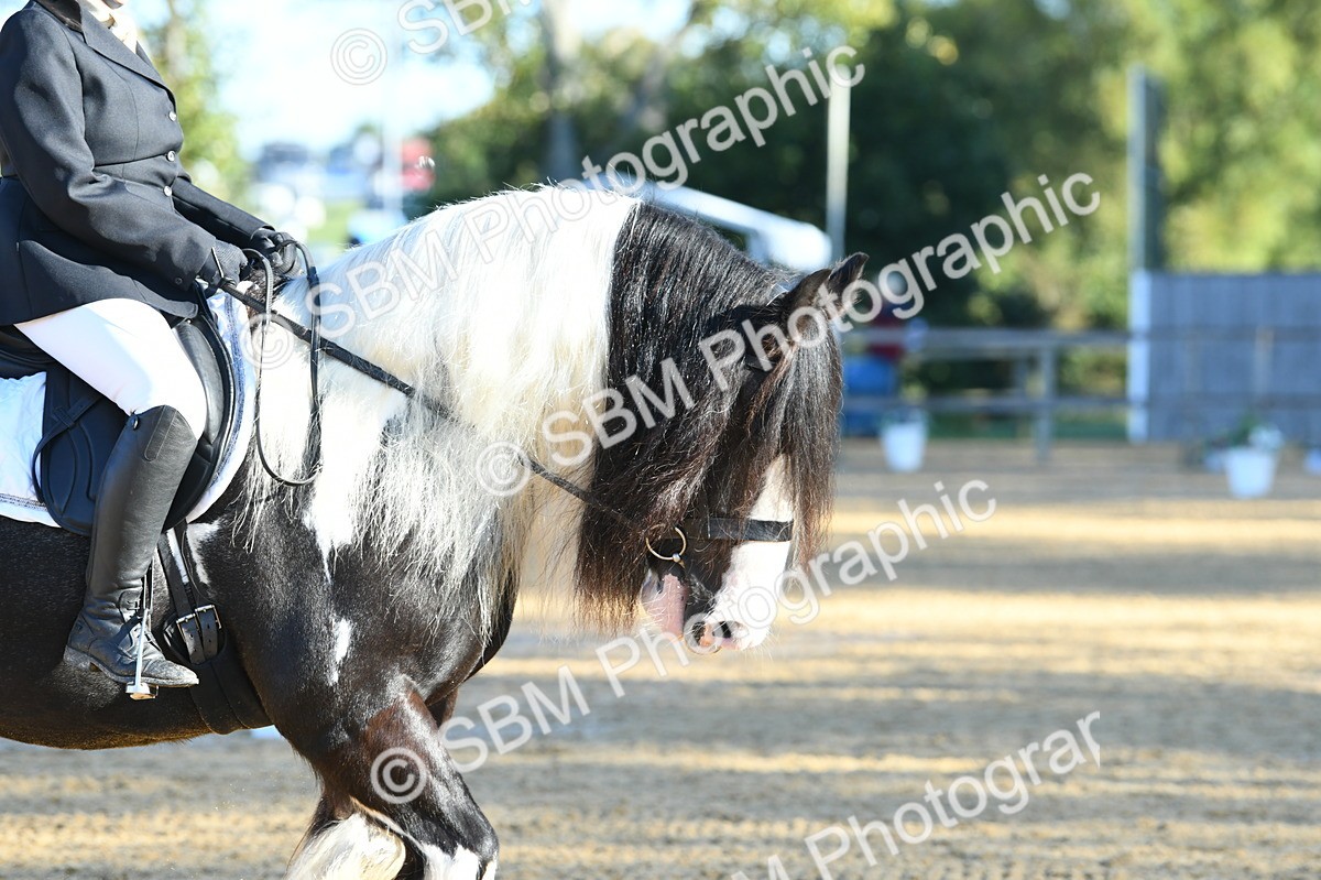 SBM_14482 - D4 - Small Tour Championship - Intro B