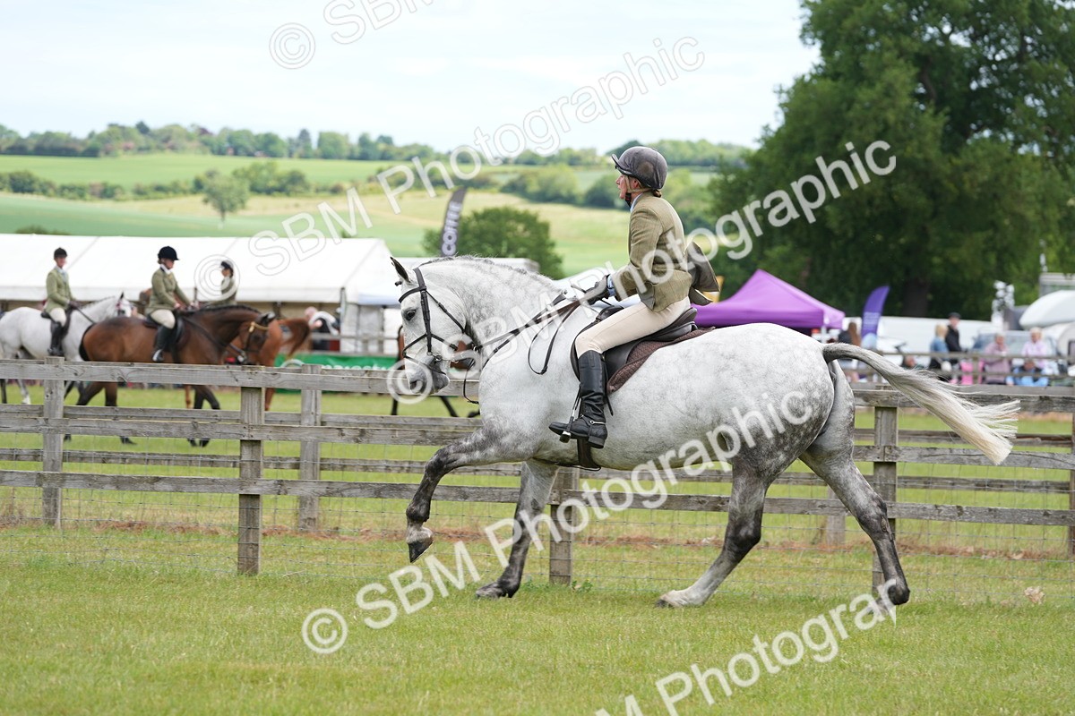 SBM_14889 - Class 100-102 - RIHS Working Hunter