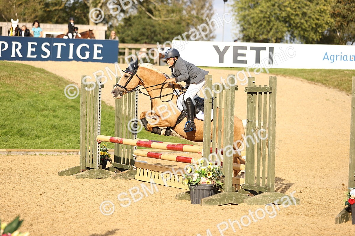 SBM_52980 - J10 - Junior Pony 75cm Championship