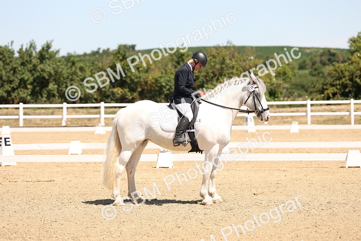 SBM_001325 - Intro 2