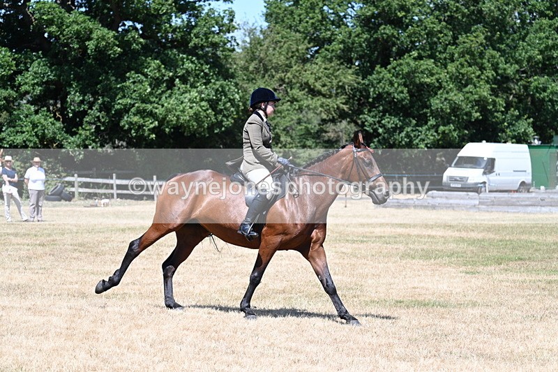 WJ7_3085 - Class 7 Riding Club Show Horse