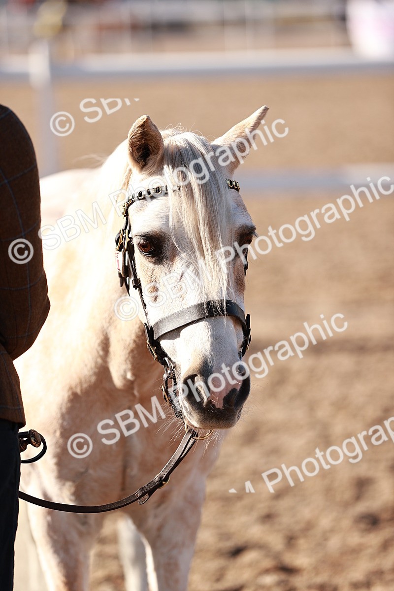 SBM_11424 - Class 402 - IH  Veteran pony
