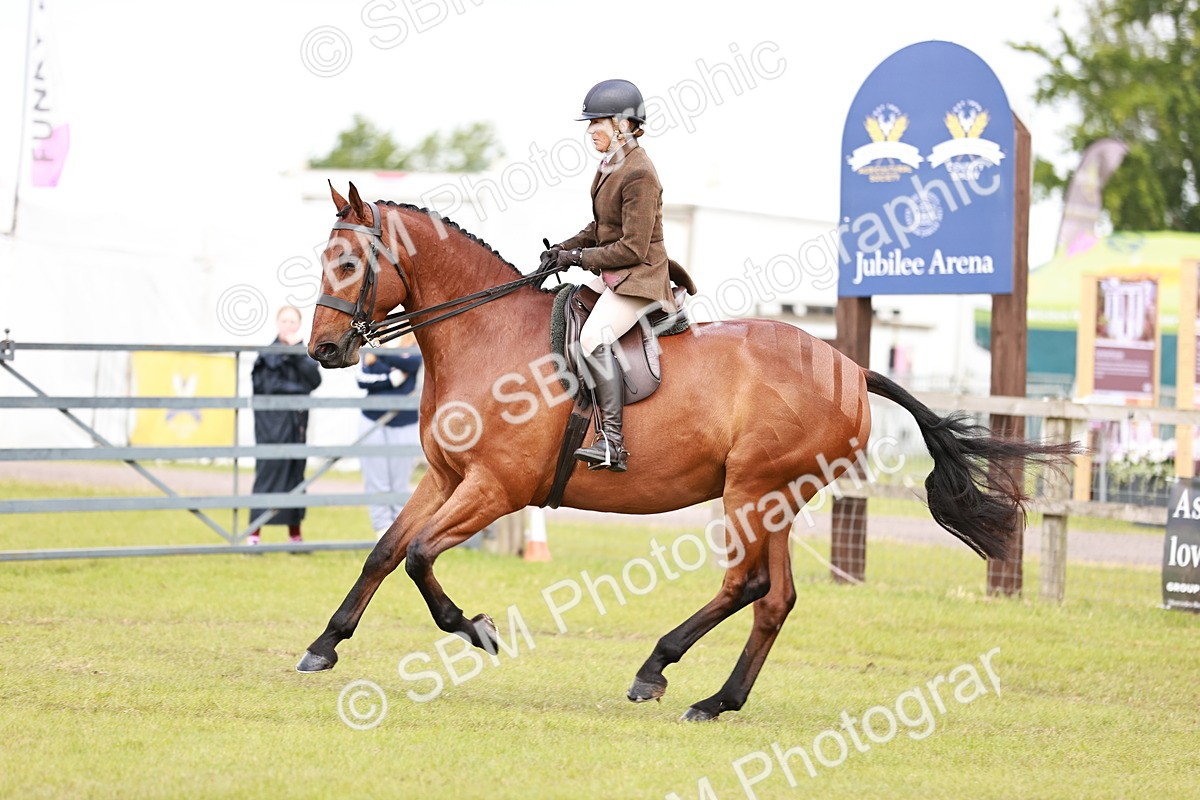SBM_10787 - Class 81-84 - RIHS Ridden hunters Inc Ladies Hunter